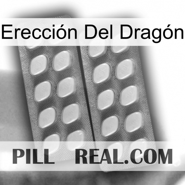 Erección Del Dragón 07.jpg